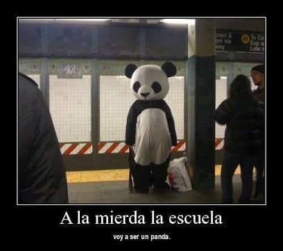 AndruMarco's tweet photo. @pandazambrano  aora entiendo. !! https://t.co/xIW4og9VfI