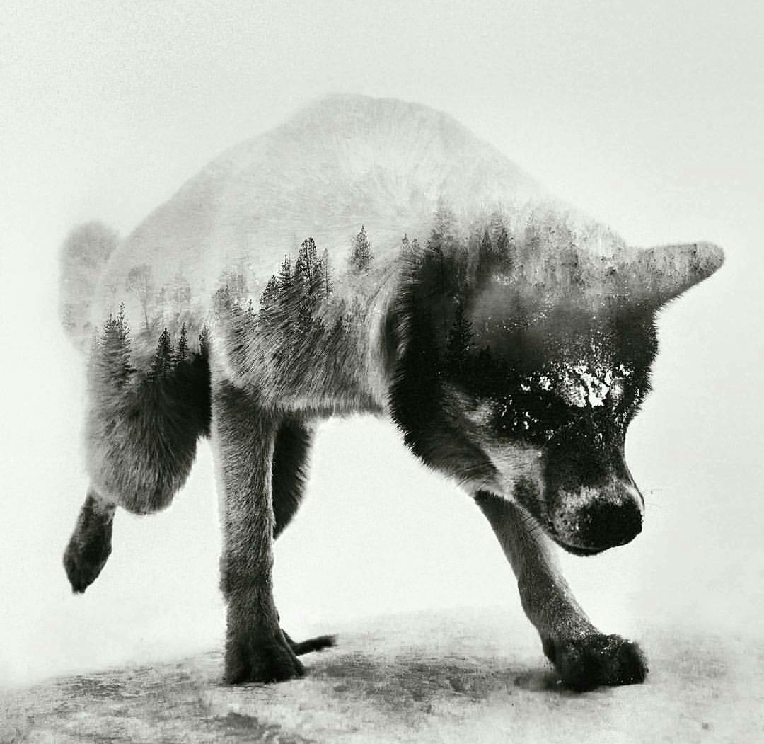 Sick Art tweet media