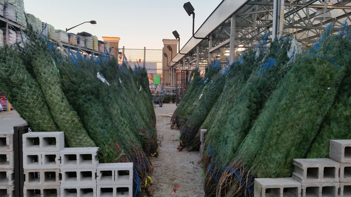 lidasuarez128's tweet photo. They're here! They're here!!!! Sara and her team are getting ready for Christmas! https://t.co/rk6sCejZF6
