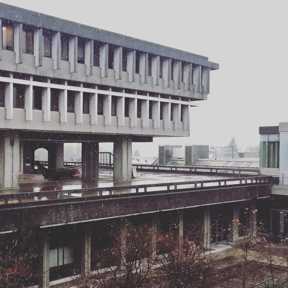 Connection_SFU tweet picture