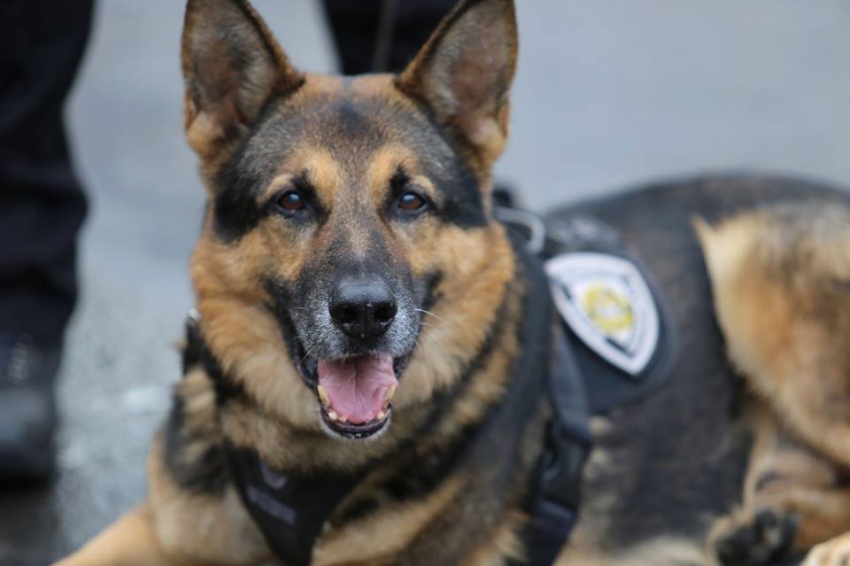 Beaverton Reporter tweet media