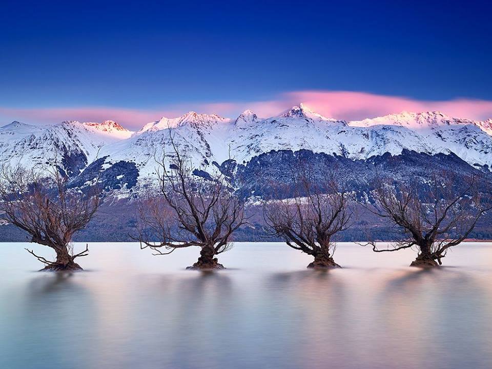 AmazingNature99's tweet photo. https://t.co/d1eJhb5fmA
