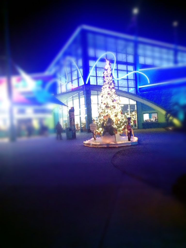 _ericamck's tweet image. Christmas is coming 😊