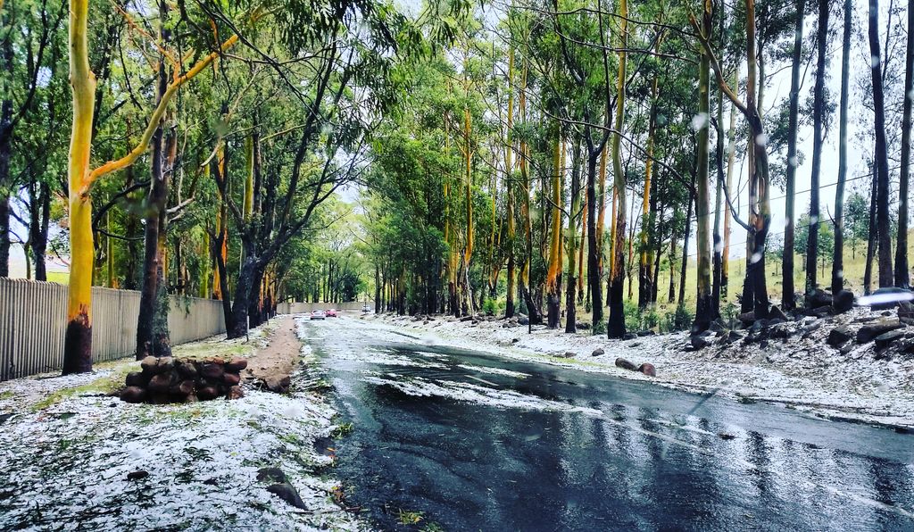 My beautiful town yesterday after the thundershowers ☺