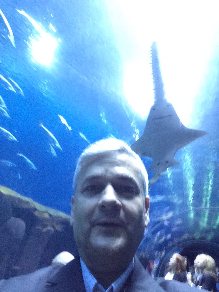 WYD_JDC's tweet photo. #InTheBlack15 @blackline Georgia Aquarium reception! https://t.co/hHoFTwlJqn