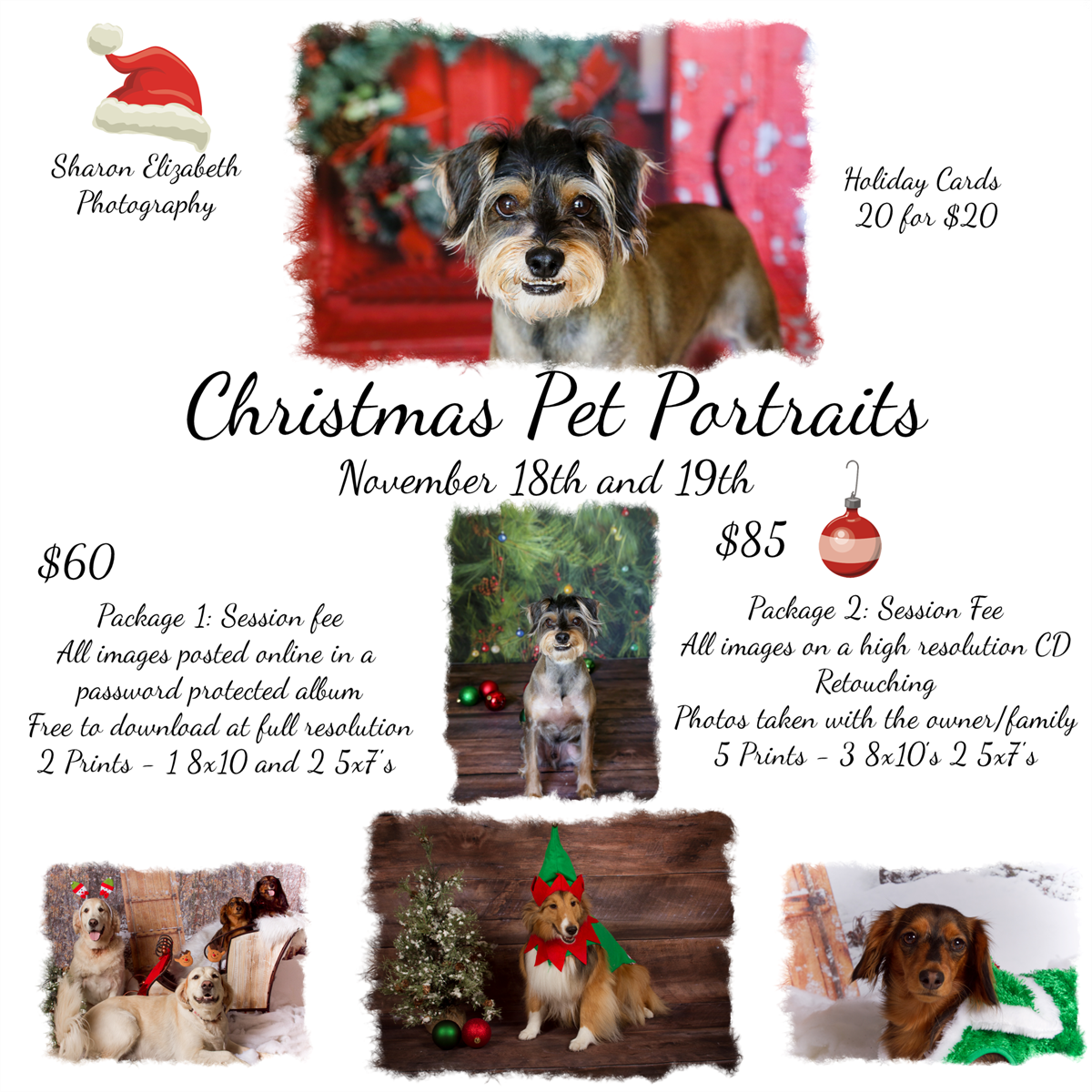 VIPDogHotel's tweet photo. Don't miss our annual holiday photos this Wednesday and Thursday. https://t.co/TovKQLf80X
