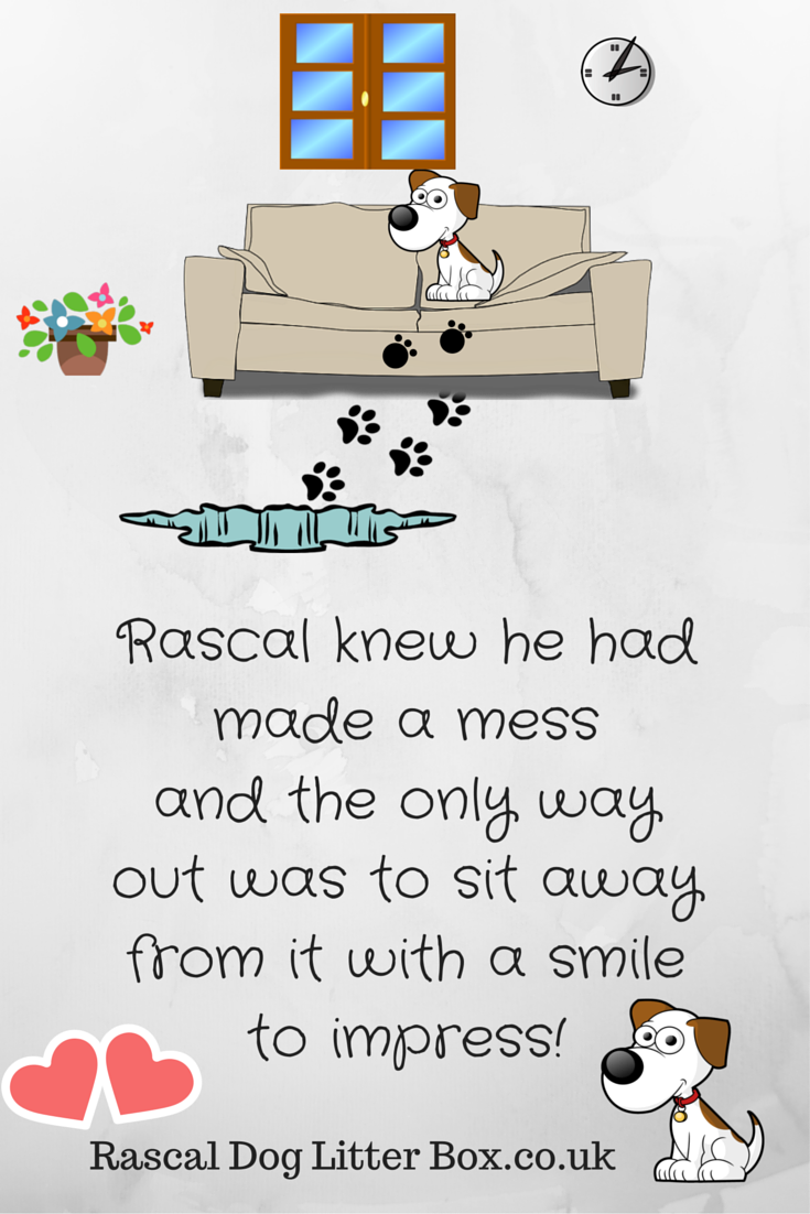 Pelz Lautsprecher Sofa rascal dog litter box Strom Theoretisch Verwirrt