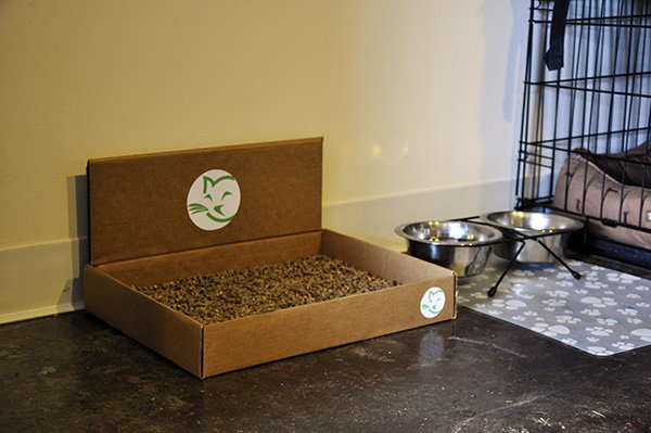 Litter_Kit's tweet image. #LitterKit Biodegradable subscription cat litter boxes, delivered to your doorstep! LitterKit.com for inf
