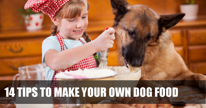 RottieFanClub's tweet photo. Here are 14 Tips to Make Your Own Dog Food >>> https://t.co/P9SXC1Cfah https://t.co/dEt4PSRa9J