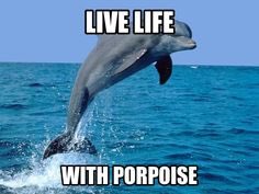 MrPodlesneySTEM's tweet photo. @biology_tweets1 https://t.co/uzd32DEUgh