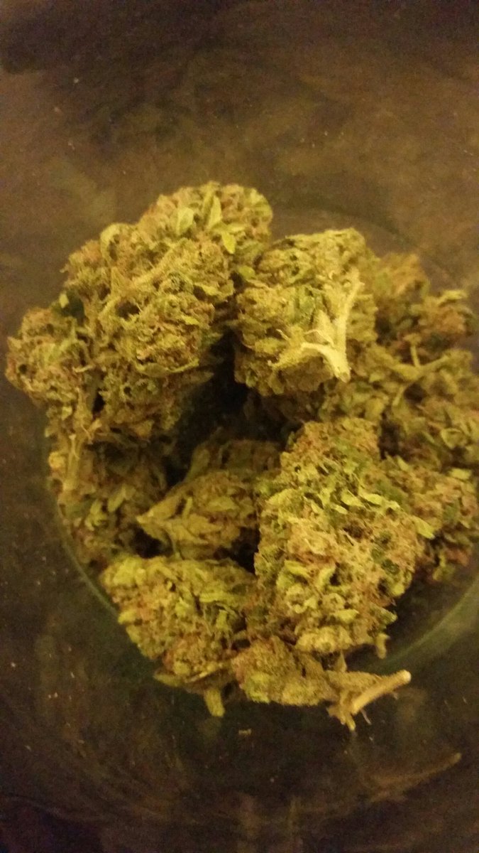 JimBlackMax's tweet photo. #TripleDiesel is the only weed with a warning that I can confirm, will fuck you up. It's still cool for sure though https://t.co/cjpDfwR4ty