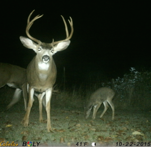 BullseyeCamera tweet media