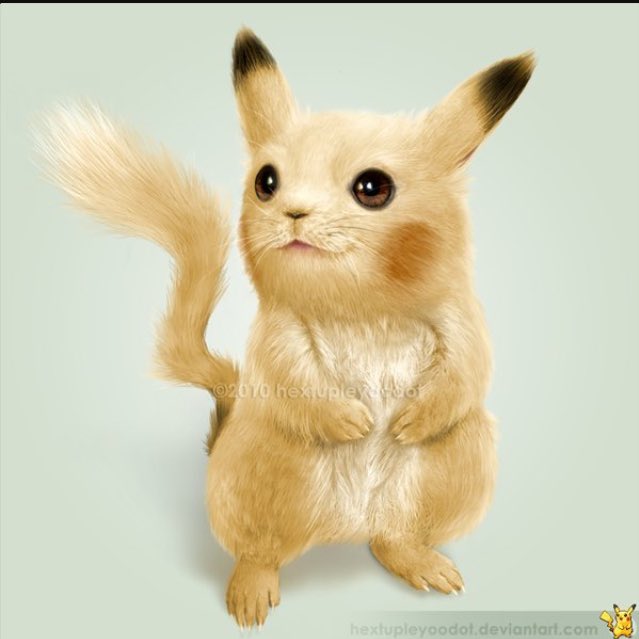 jaredHoward19's tweet photo. So cute https://t.co/8IRaLJ1JVF