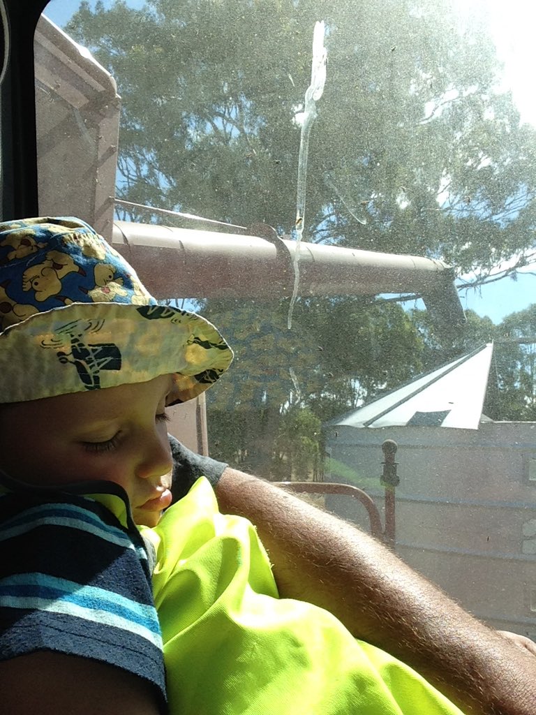 Azzaseed's tweet image. Harvest 15 monola 513RR going well @russtybloke68 #paddockpride #trainingfutureheaderdrivers