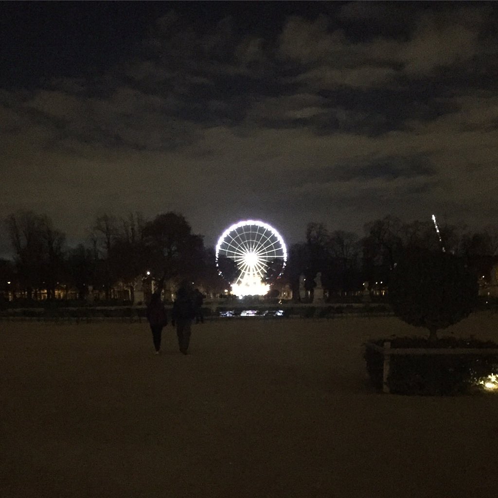 Sunday_Supper's tweet photo. Paris, early last night. This was the beautiful calm before the storm.#prayforparis #jardindestuileries #ferriswheel https://t.co/wLKfvGchzJ