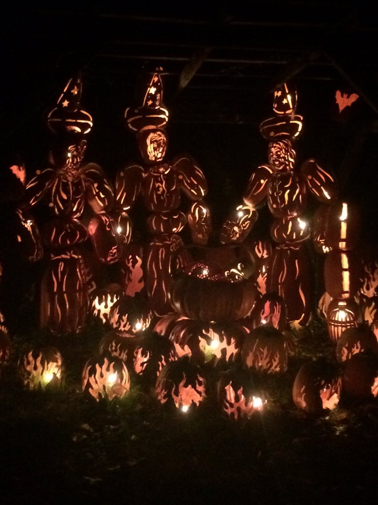 _albie_'s tweet photo. FUN 🎃 https://t.co/dKoTBu9uxT