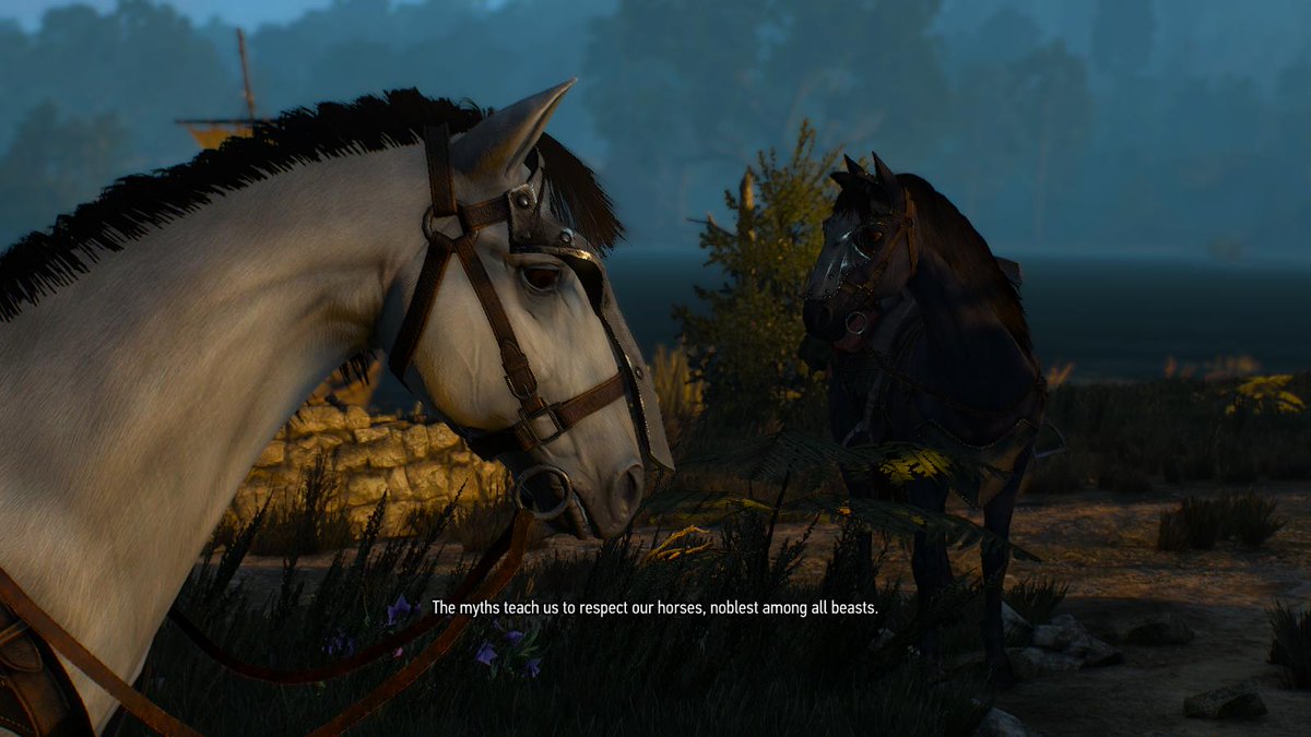 tinhyp's tweet photo. Shortly before this conversation, Roach got stuck on a foot-high fence and also a birch tree. #Witcher3HeartsofStone https://t.co/b6UUY2Msd3
