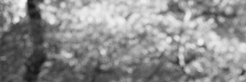 bombaflayout's tweet image. Connor Franta