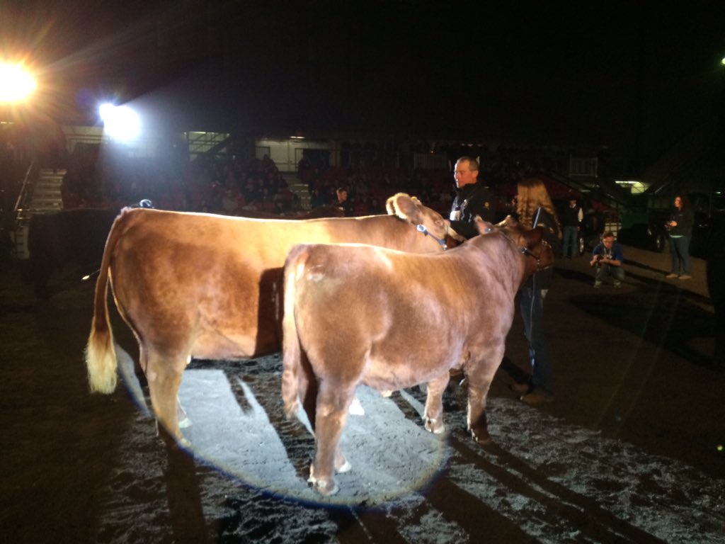 Ter-Ron Farms of #Forestburgh win Supreme champion with their red angus @NorthlandsAg