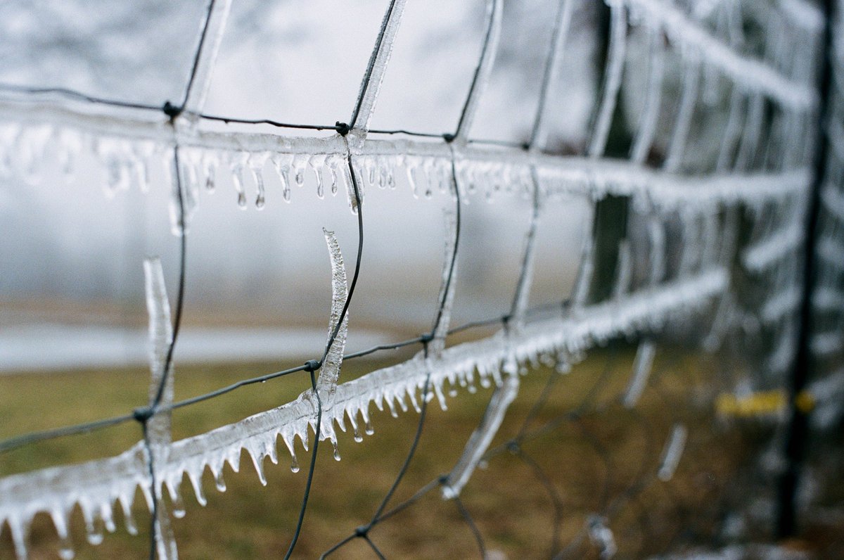 shutteringthru's tweet photo. BURR! One of my first ever film shots #Portra400 #OM1 #BelieveInFilm #HeyFSC #FilmIsNotDead #Fence #Ice #FilmBoxLab https://t.co/uoUUBIb3AY