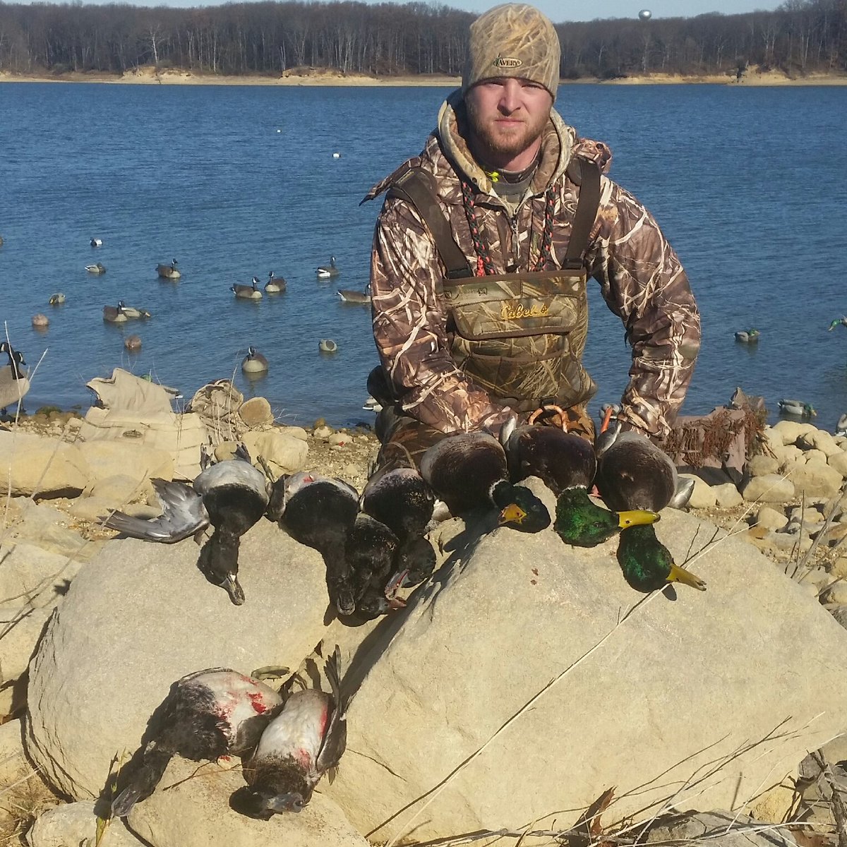 bofoutdoors's tweet photo. Had a good 2 man shoot today on the lake #greenheads  #bluebills https://t.co/TIVRSrfd3l