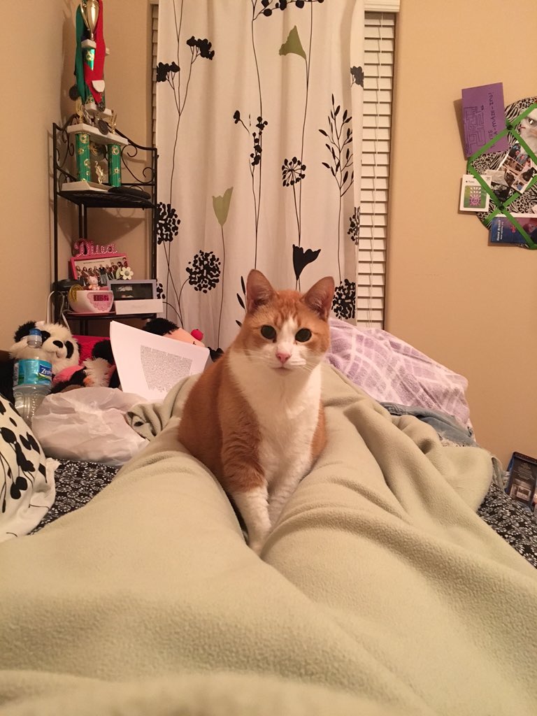 desirae_wallace's tweet image. #InFrontOfMe