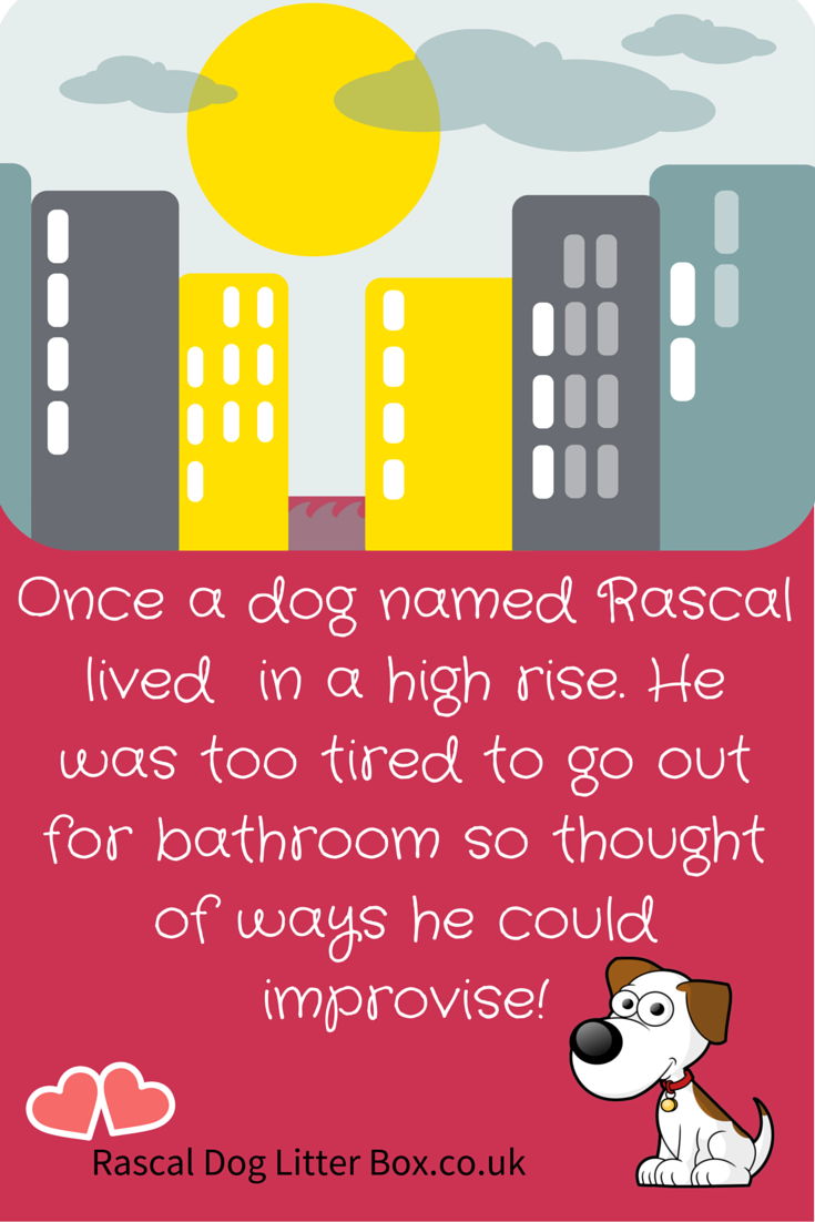 Pelz Lautsprecher Sofa rascal dog litter box Strom Theoretisch Verwirrt