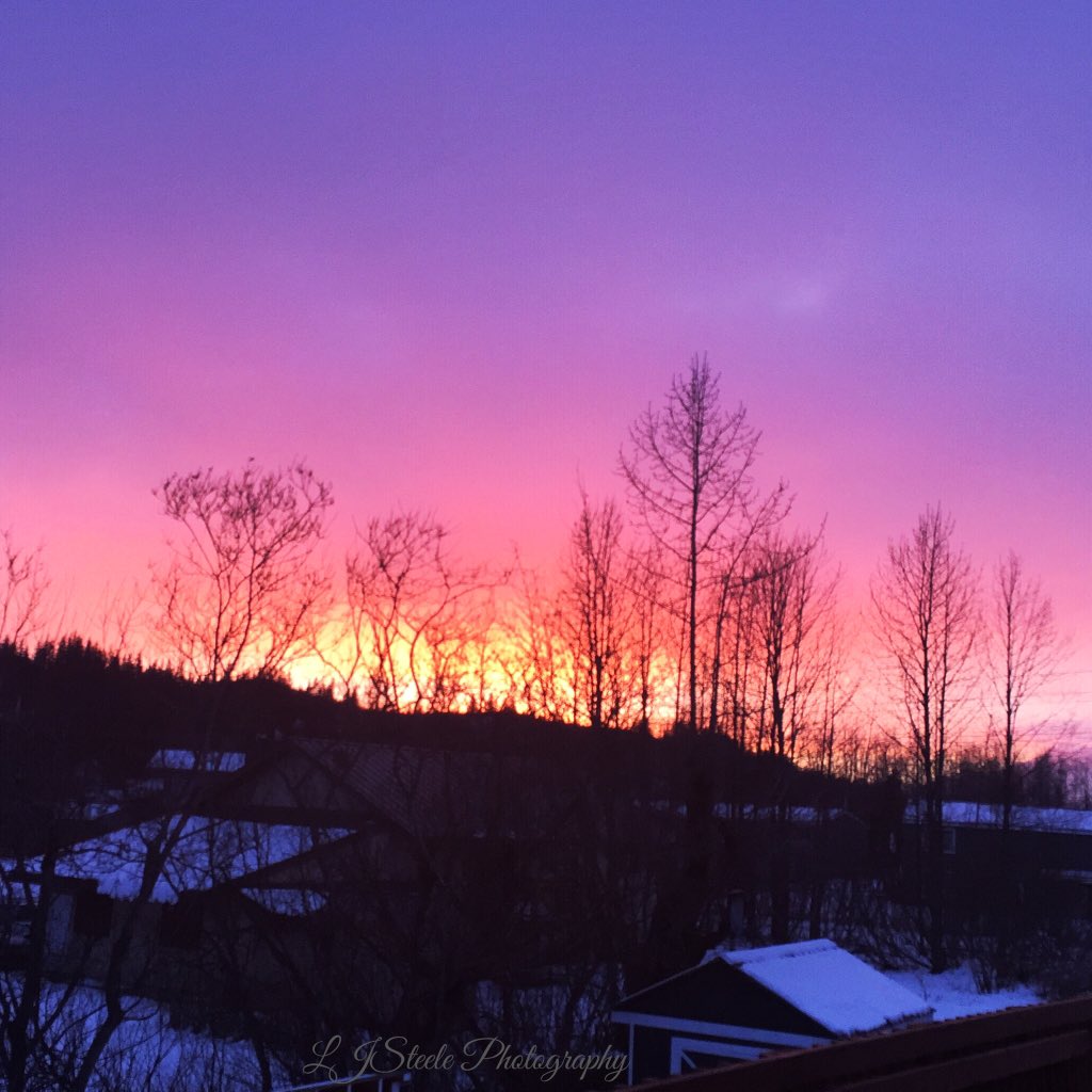 LJSteele_Photo's tweet photo. No, not a fire...just #home4now #valdez #Alaska #AKkiwi #awe #travel #travelingkiwi #sunset #color #nature #valdez https://t.co/Zf9hDc44OM