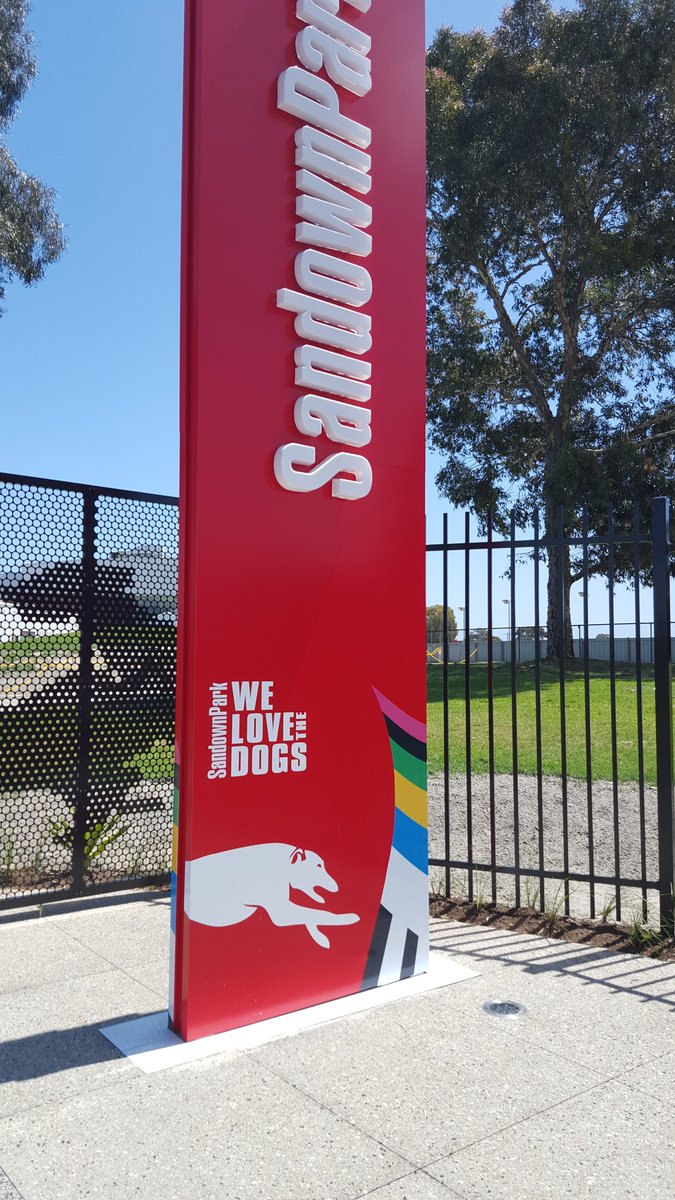 thebretto's tweet photo. Here we go again...
#welovethedogs
#sandowndogs
#sunnysundayarvo https://t.co/z1XA1cWE7W