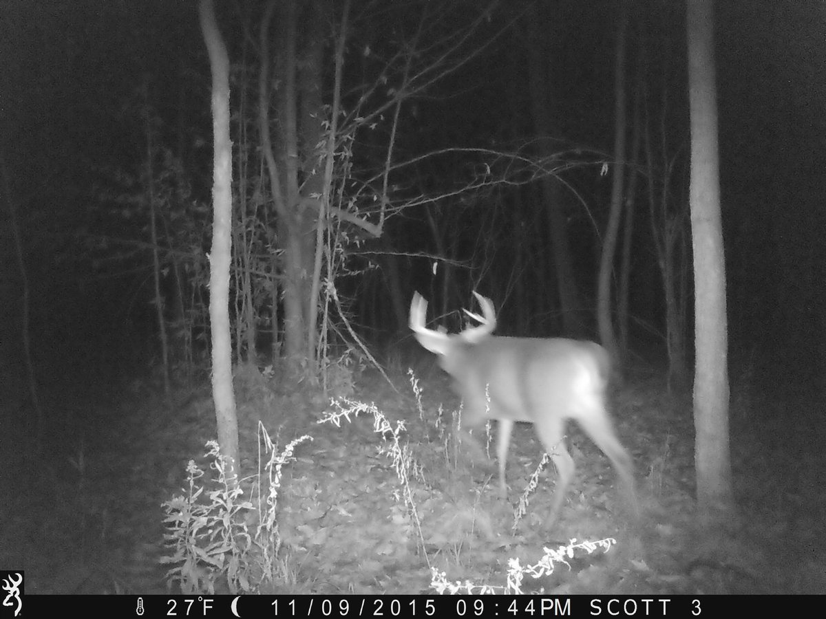 skdev0527's tweet image. I will stay in my stand, #freezingmybleepoff until #Itaghim!