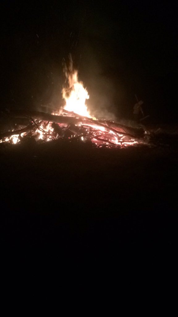 haileyn01's tweet image. BonFire🔥