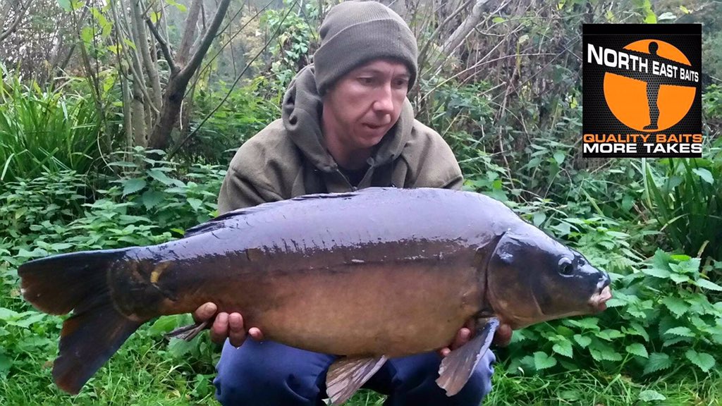 NorthEastBaits's tweet photo. #NorthEastBaits Phil Belton with a cracking 22lb mirror taking on a #MapleDream wafter over a bed of #IrishNut https://t.co/n0WEEOnL70