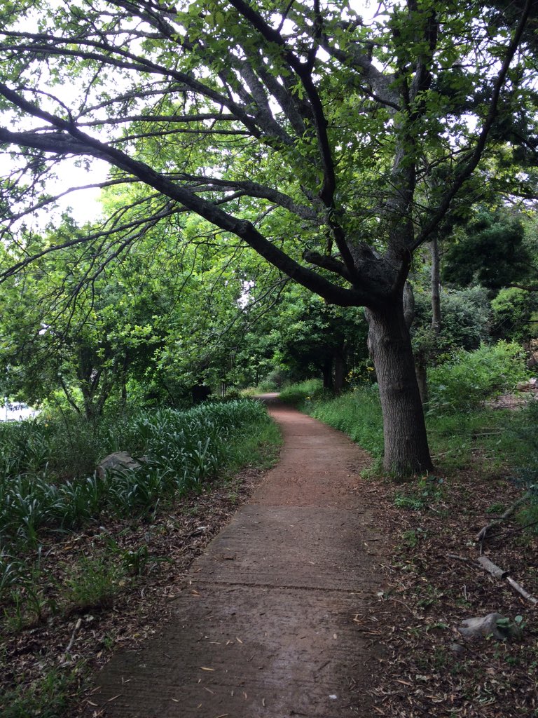 doug_bird's tweet photo. From planning to testing in just 2hrs. The 6km @Salomon_SA #CityTrail route is kiff! Enter! https://t.co/kSbgxEE14A https://t.co/TYdOiCYRnS