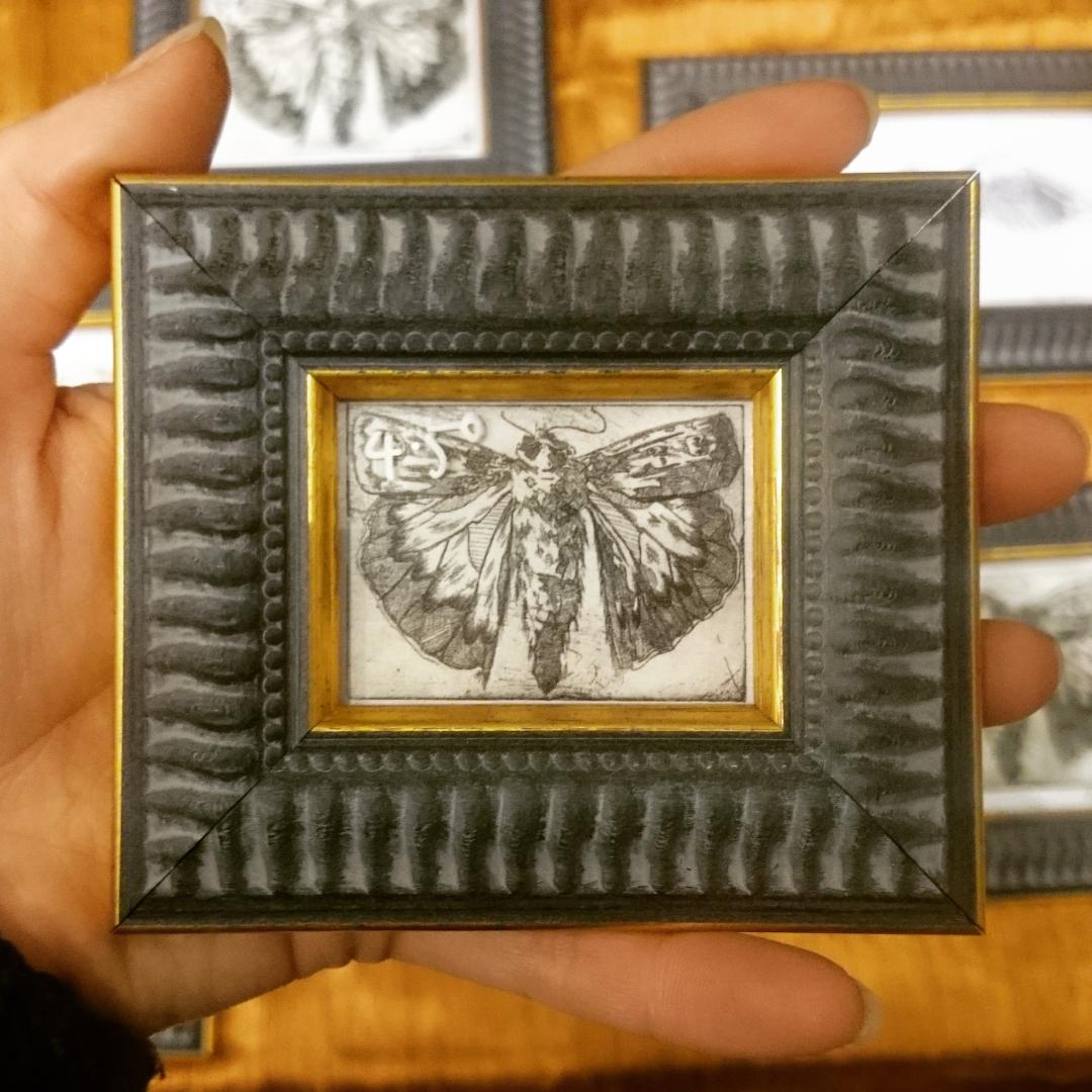 Great day @PopupArtBristol with all of my handmade frames, etchings &amp; prints! Mini framed etchings fluttering away