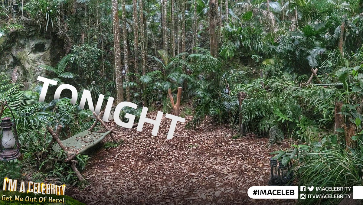 Tonight's the night! All we need now are the Campmates! Tune in at 9pm on <a href="/ITV/">ITV</a>. Let's get ready to Jungle #ImACeleb