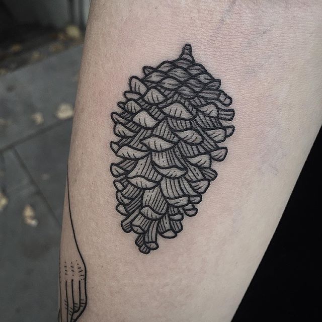 Pinecone Temporary Tattoo from NatureTats  Maine Yarn  Fiber Supply