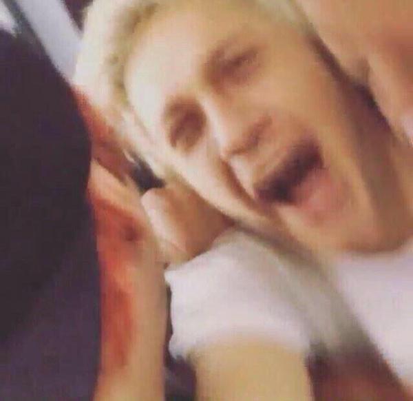 haywiredlouis's tweet photo. for your eyes only (louis) 
i show you my heart (niall) 
for when youre lonely (harry)
and forget who you are (liam) https://t.co/C17KWsD5P0