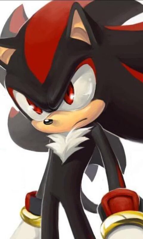 DarkQuils's tweet image. 