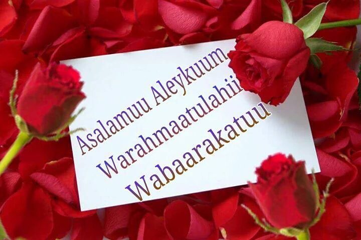 125Hayu's tweet photo. @402cdafdbef04b2 https://t.co/SMn2J6LV6U