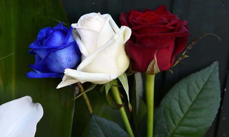 DolphinsDancer's tweet photo. #TricolorRoses @ #French consulate in Krakow, Poland #tribute to victims of #ParisAttacks. Pic: #JacekBednarczyk/EPA https://t.co/7peFl79hex