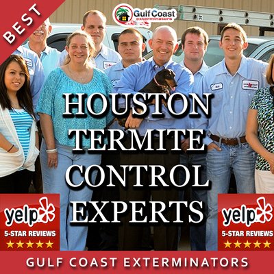GCEPests's tweet photo. #Termite Control #Houston Company Gulf Coast Exterminators is the best! Full 5 Stars on Yelp https://t.co/5Lp1KbCeOi https://t.co/Fgl1RTRyE1