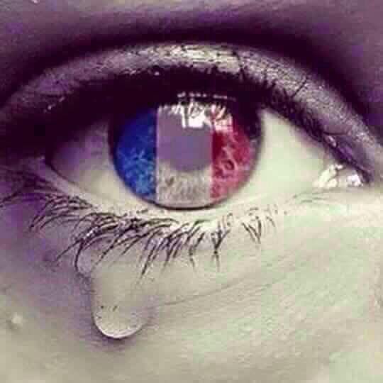 LucBoiten's tweet image. Let Paris be a wake up call (again). This is not the future that I want for my kids, family, friends, ... humanity.