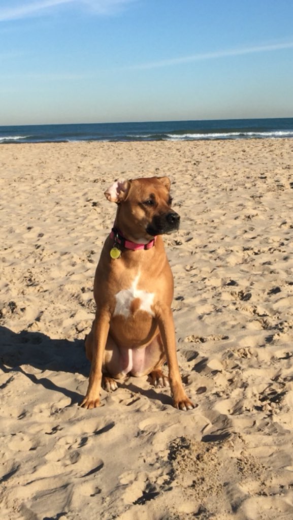 Andrew Driscoll (@drza3) on Twitter photo 