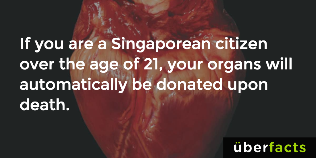 Woah...