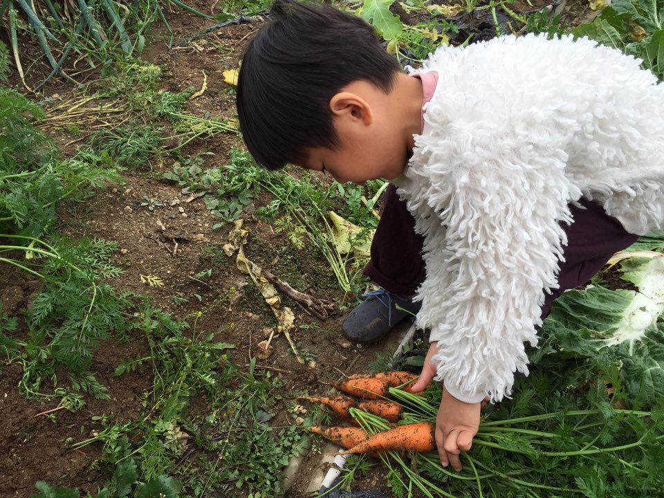 ju hi-young tweet media