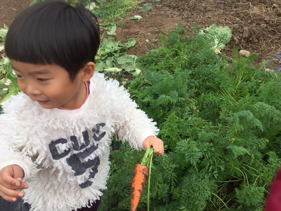 ju hi-young tweet media