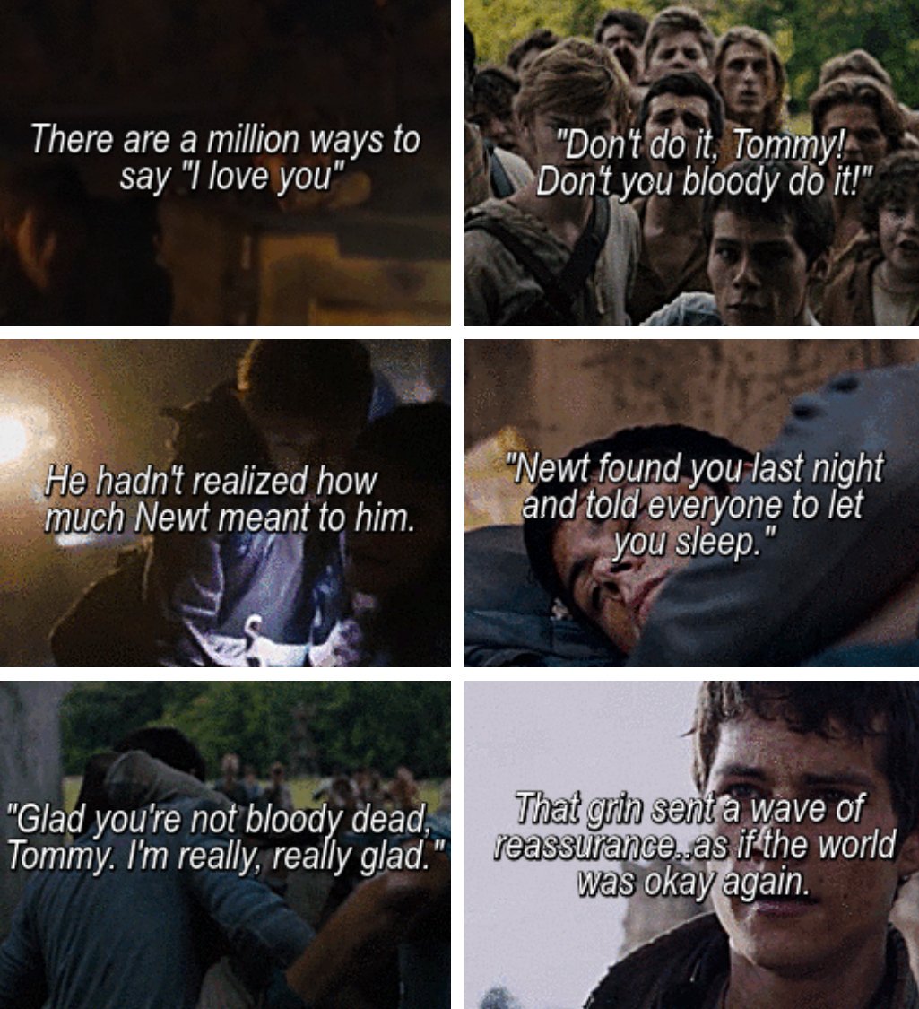 Newtmas maartje on Twitter: "quotes that show newtmas is 