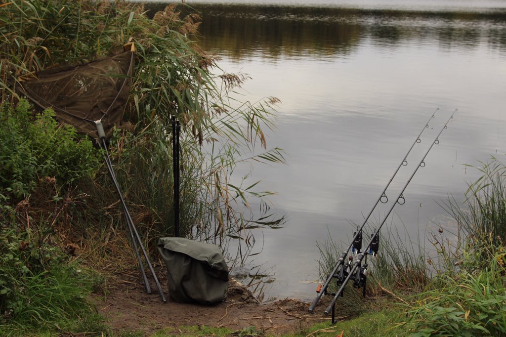 scott46callison's tweet photo. No blanking after this shot... #mainlinebaits #ss3000 #delkim https://t.co/7BPIRghrx9