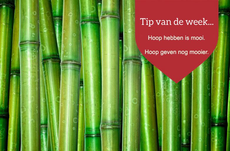 De Boeddhaspecialist (@boeddhaspecial) on Twitter photo 