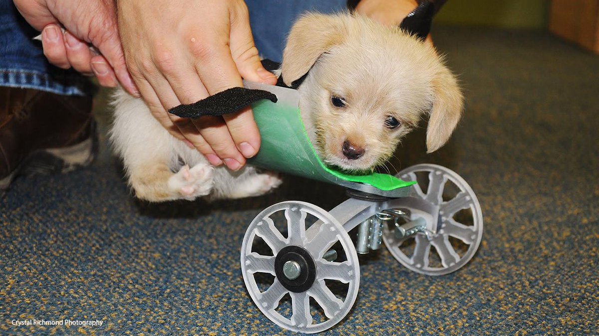 ABC7 Eyewitness News tweet media